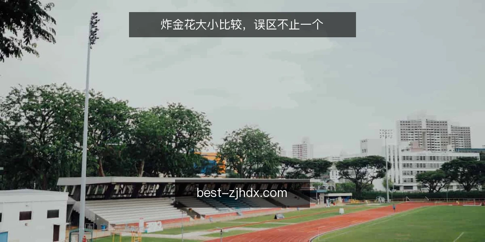 炸金花大小比较，误区不止一个 — 误区一：点数大就一定赢，牌型不重要 配图