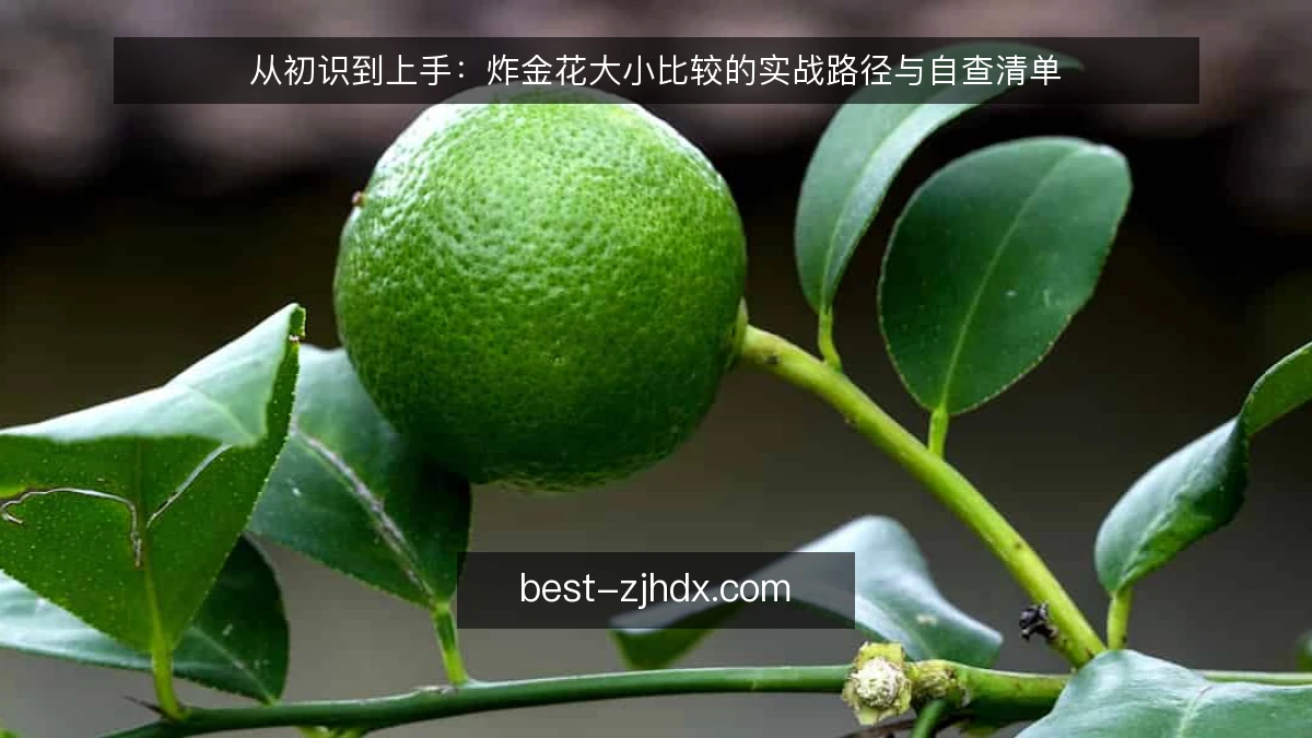 从初识到上手：炸金花大小比较的实战路径与自查清单